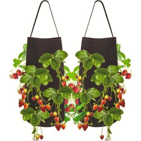 2pcs Sac de Plantation pour Fraise, Sac de Plantation de Pomme de Terre , Sac Potager avec la Fenêtre et la Poignée pour des Fraises, des Tomates, des Légumes (1/5)