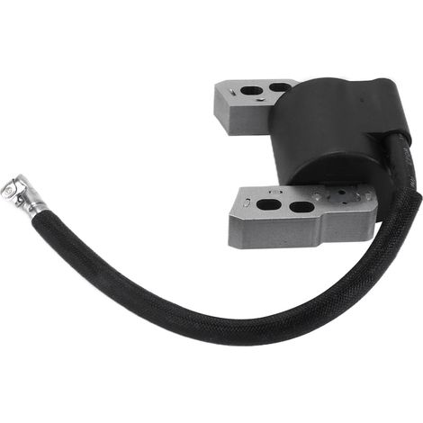 Module de bobine d'allumage moteur en métal 802574 796964 universel pour Briggs & Stratton (1/5)