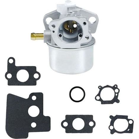 7-PS-Vergaser für Motor mit kompatiblen Teilen 790120 694202 693909 692648 499617 Am134697 (1/5)