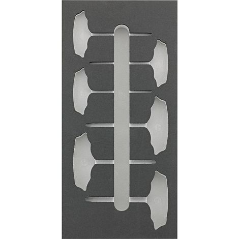 Fortis Werkzeugmodul 1/3 leer T-Griff Torx (1/3)