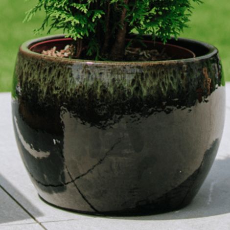 Maceta ROMULUS 21x15cm negro & verde (1/5)