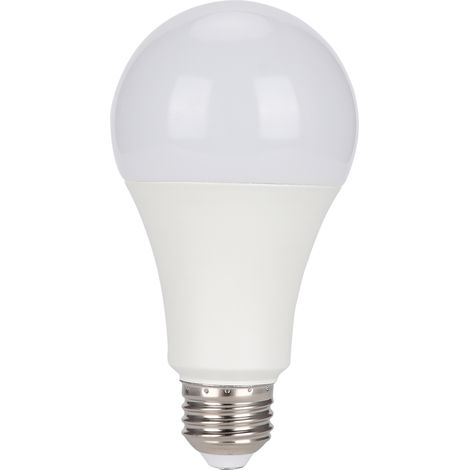 Ampoule LED Intelligente Contrôle Vocal WiFi 2.4GHz Compatible Android et iOS 10W 100-240V (1/5)