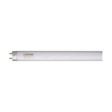 Tubo Recto T8 Tri-phosphor 26mm G13 58w 150cm 4000k