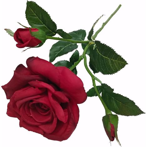 Rosas artificiales negras a granel: 12 tallos, flores de plástico de 10 cm con textura de seda, perfectas para la decoración de bodas en negro y que se pueden combinar con ramos negros.