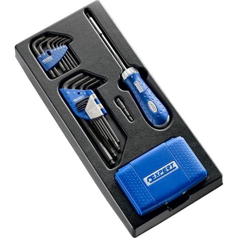 EXPERT E121105 MODULO AVVITATURA CRICCHETTO GIREVOLE INSERTI ESAGONALI E TORX