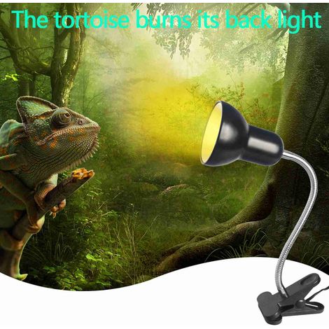 Lampe chauffante UVB pour reptiles avec ampoules 50W/70W, lampe chauffante à pince pour aquarium avec clip rotatif à 360° et thermostat réglable. (1/5)