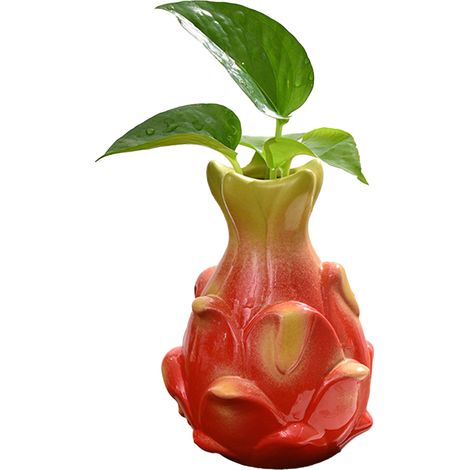 Jarrón de cerámica HydroKéros – Diseño de fruta del dragón – Maceta hidropónica decorativa para plantas (patata trepadora, orquídeas) – Decoración para oficina/sala de estar (1/5)
