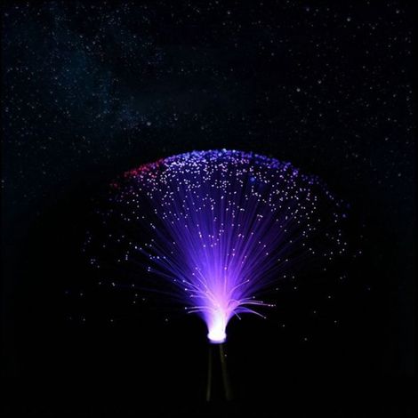 Lampe Fibre Optique - Ciel Étoilé Décoratif - Pour Salon Chambre à Coucher Table à Manger - 33 cm - 1 Unité (1/5)