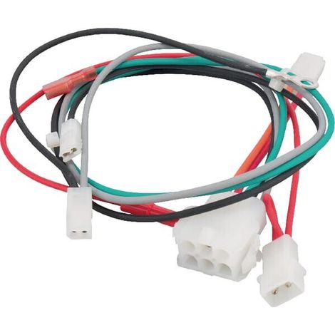 Cablaggio elettrico Briggs e Stratton - 698329