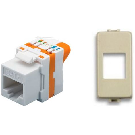 TechLy presa di rete RJ45 UTP Cat.6 tooless + Magic TT sabbia