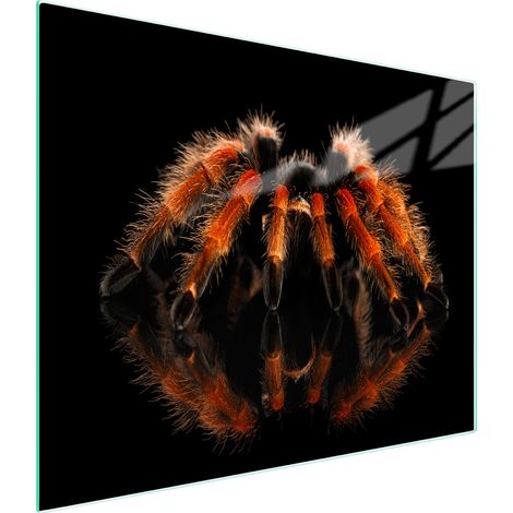 TABLA DE CORTAR DE VIDRIO 52x30 ARAÑA (1/5)