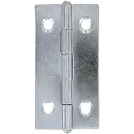 Charnière acier 35 x 22 mm SC