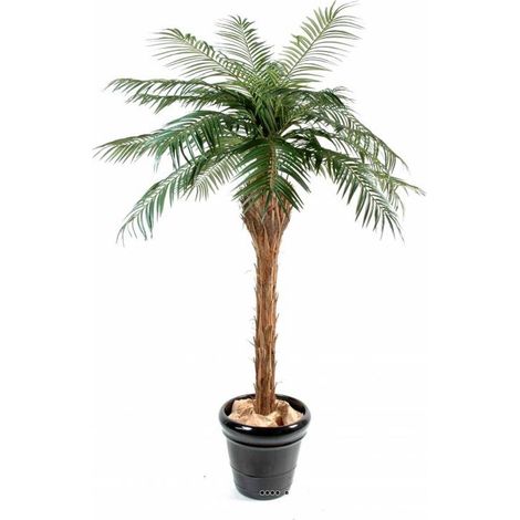 Palmier Phoenix artificiel finition Luxe H 150 cm très belle tête - dimhaut: H 150 cm - couleur: Vert