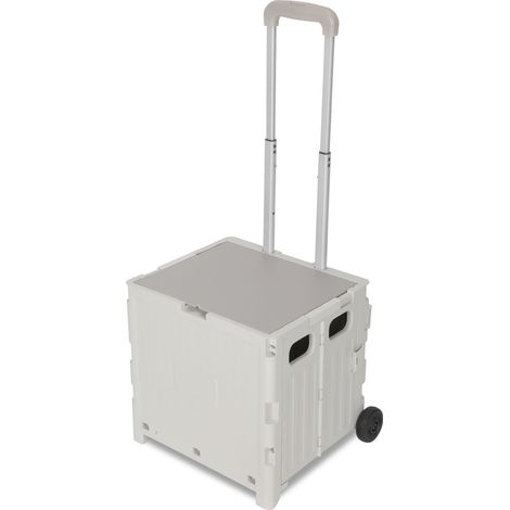Wolketon Carrello spesa pieghevole 45L con coperchio, 2 ruote, trolley box per spesa e casa, bianco