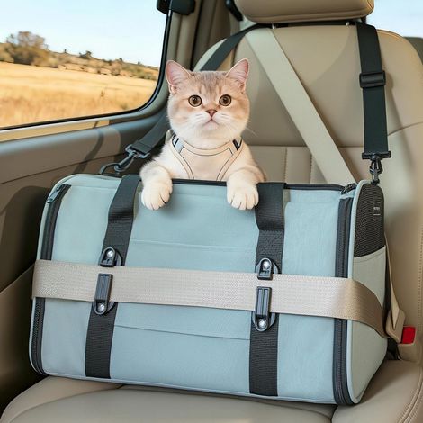 Sac de transport pour chat et petit chien, pliable, homologué avion, vert (1/5)