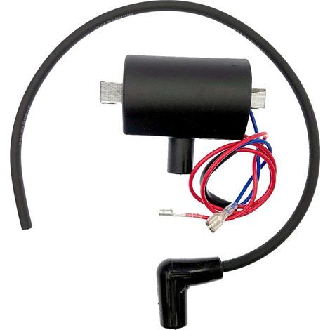 Bobina de encendido de alto voltaje S-giant compatible con el modelo de cortacésped EZGO Golf 23782-G1 (1981-1994) – Para motores de imán permanente (1/3)