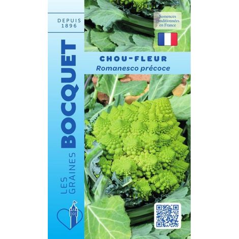 Chou fleur vert Romanesco précoce - 1g