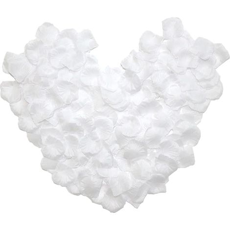 Joint Plinthe Cuisine Profil D’étanchéité pour Socle Cuisine pour Plinthe de 15mm 16mm 17mm pour Bas de Sous Placard(Transparent, 5M)