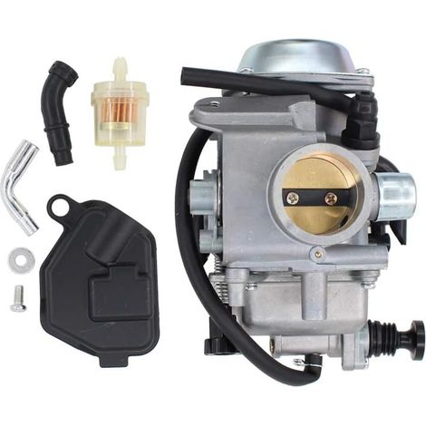 Carburateur avec filtre pour Honda Big Red FourTrax 250 300 TRX250 TRX300 Foreman 400 450 TRX400FW TRX450FE Rancher 350 ATV