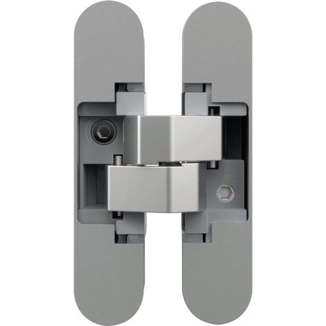 Bisagra oculta níquel satinado 3 ejes puerta 50kg invisible (1/2)