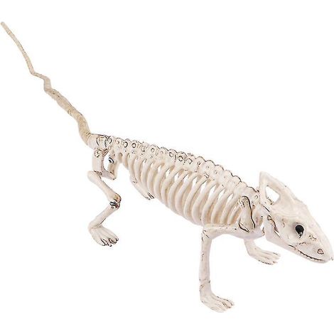 1 Stück Halloween-Skelett als Geschenk für Halloween