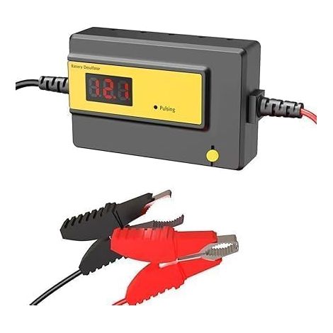 Désulfateur Automatique de Batterie pour Batteries Plomb-Gel AGM SLA (72V) (1/5)