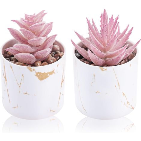 Lot de 2 mini plantes succulentes artificielles pour la maison, le bureau, les accessoires de bureau pour femme (1/5)