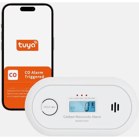 Détecteur de monoxyde de carbone, détecteur de CO portable, conception antidéflagrante, haute sensibilité (1/5)