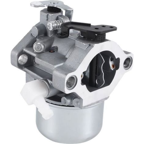 Carburateur Pour Moteur Briggs Stratton 28M707 28R707 28T707 28V707 Pièces Tondeuse Gazon (1/4)