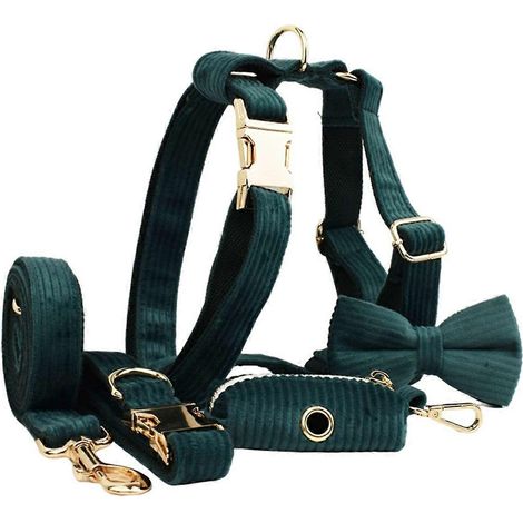 Dunkelgrünes Stoff-Hundehalsband, Outdoor-Leine, Größe S (1/5)
