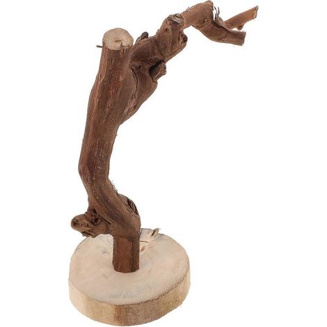 Perchoir pour perroquet, support en bois avec base, accessoire pour perroquet (1/5)