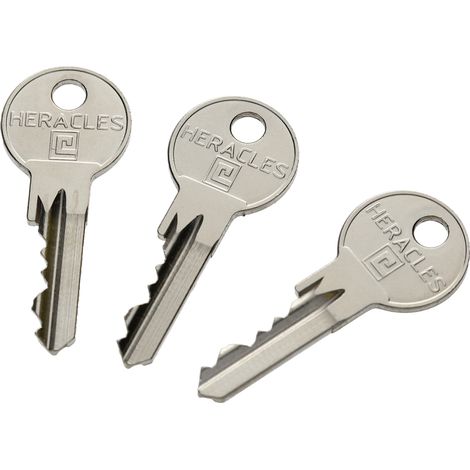 Cylindre à bouton 5 goupilles 5G laiton nickelé B30x45mm - HERACLES - C100B112 (1/3)