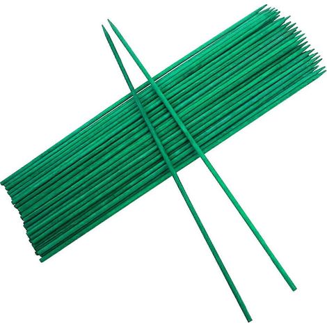 30 Bâtons en Bois Vert 30cm, Tuteurs pour Plantes, Piquets de Jardin pour Soutien des Fleurs, Supports Signalétiques pour Plantes d'Intérieur et Extérieur (1/4)