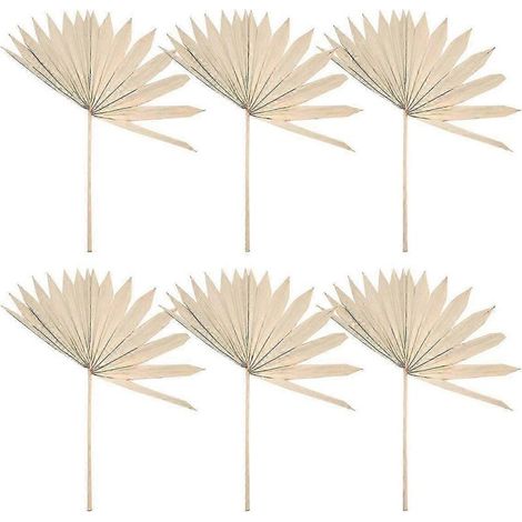 6-Piece Natural Dried Palm Fans & Flower Bouquet - Elegant Wedding Decor for Unique Floral Arrangements (1/5)