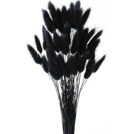 50 herbes de queue de lapin séchées noires, ne se fanent jamais, pour décoration maison et mariage (1/5)