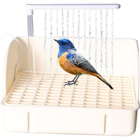 Baignoire Automatique pour Oiseaux, Douche pour Oiseaux avec Plusieurs robinets, Baignoire électrique USB pour Grand Oiseau pour calopsitte, Oiseau, Gris Africain (1/5)