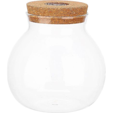 Terrarium en verre transparent avec couvercle en liège pour plantes, pot de propagation transparent (1/5)
