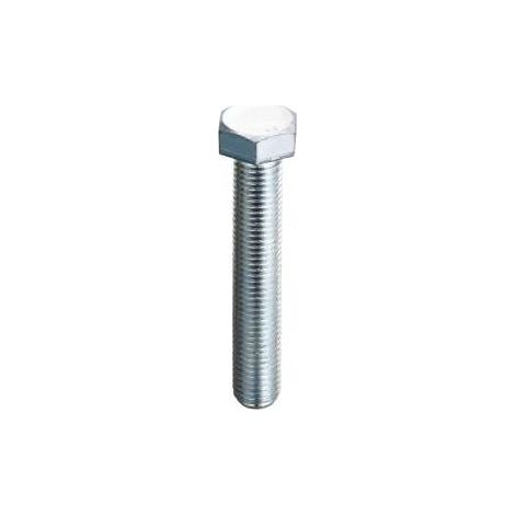 Viti Metriche Inox Testa Esagonale Mm.8X60