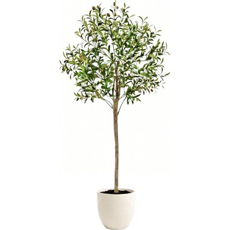 Plante Décorative Intérieur – Olivier Artificiel 150cm – Arbre Artificiel Réaliste pour Maison, Bureau, Hôtel, Centres Commerciaux – Décoration Intérieur/Extérieur (1/5)