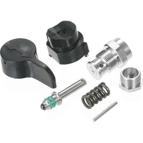 Clapet anti-retour du pulverisateur Graco pour Graco 395490495595-Crezuo