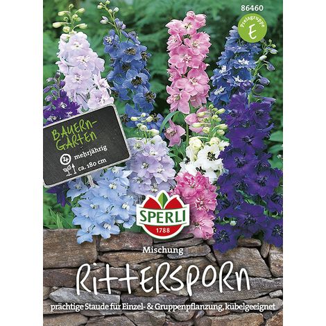 Sperli – Pied-d'alouette Delphinium Pacific en mélange – Graines de fleurs, vivace, hauteur env. 180 cm (1/2)