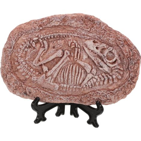 Resin Fossil Trilobite Specimen Decoration for Terrarium (1/5)