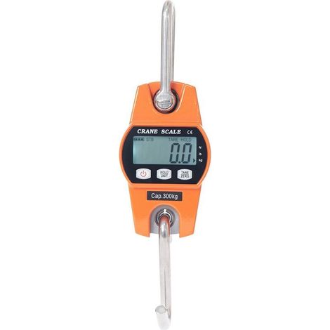 Elektronische Waage 300 kg Hängewaage Dynamometer LCD Industriewaage mit Haken Wiegt 300 kg/600 lbs (1/5)