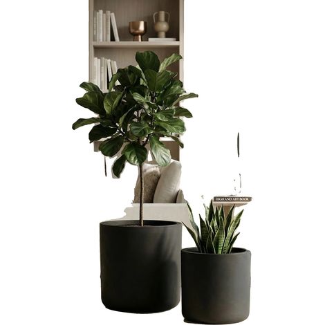 Maceta para bonsáis, gran capacidad, diseño minimalista moderno, color negro. (1/2)