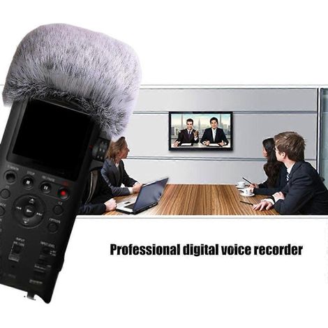 Bonnette anti-vent en fourrure pour microphone d'enregistreur numérique professionnel PCM-D10 (1/4)
