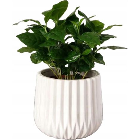 Keramikblumentopf, gerillt, 13 cm, weiß (1/4)