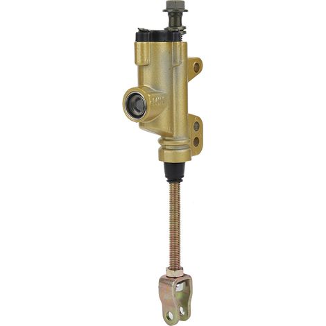 Maître-cylindre de frein hydraulique arrière de 10 mm (0,4 pouce) pour quads/véhicules tout-terrain PIT PRO TRAIL (1/5)