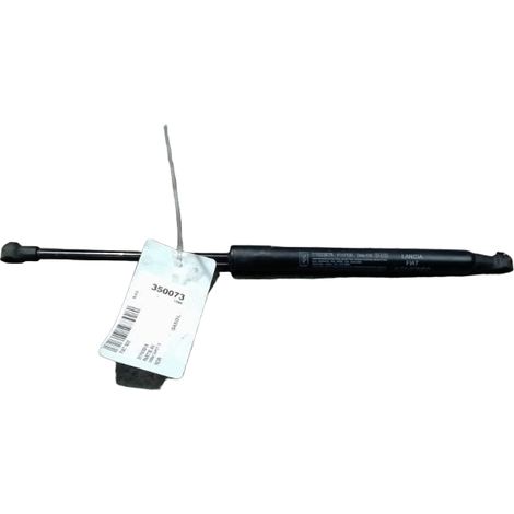 Verin Capot D FIAT 500 [PRODUIT D'OCCASION]♻️52216615