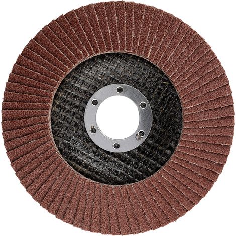 Disco lamellare 125 x 22,2 mm, P100 (1/3)