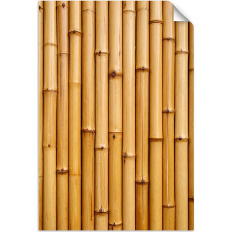 Selbstklebendes Poster – Wandsticker Bambus Pflanze Natur 30x45 cm (1/3)